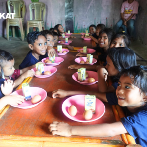 PROGRAM PAUD SUPER5 - 10 PAUD di NTT